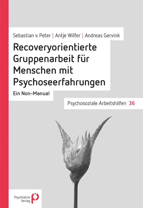 Cover: 9783884145661 | Recoveryorientierte Gruppenarbeit für Menschen mit Psychoseerfahrungen