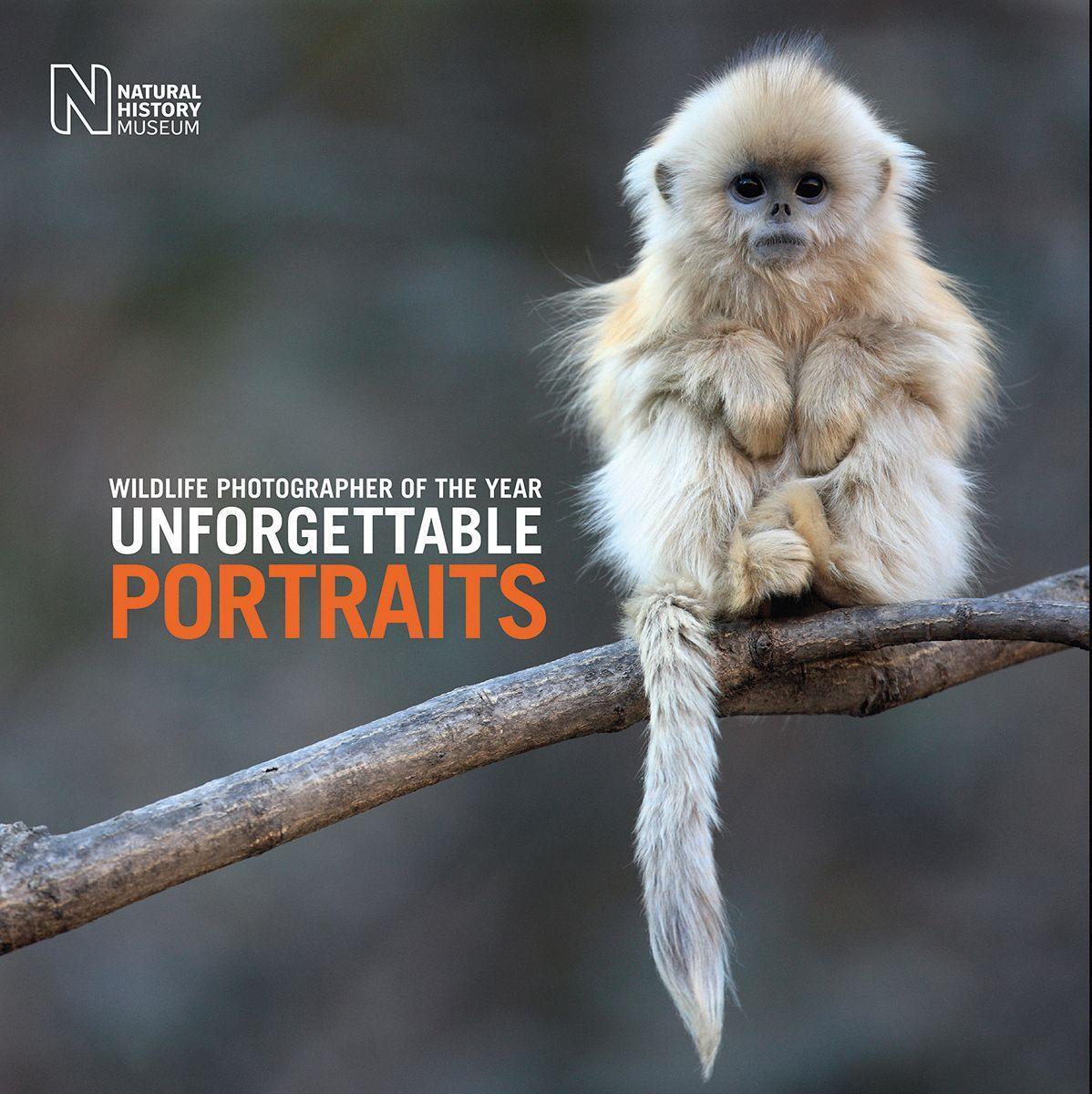 Cover: 9780565094669 | Wildlife Photographer of the Year: Unforgettable Portraits | Museum