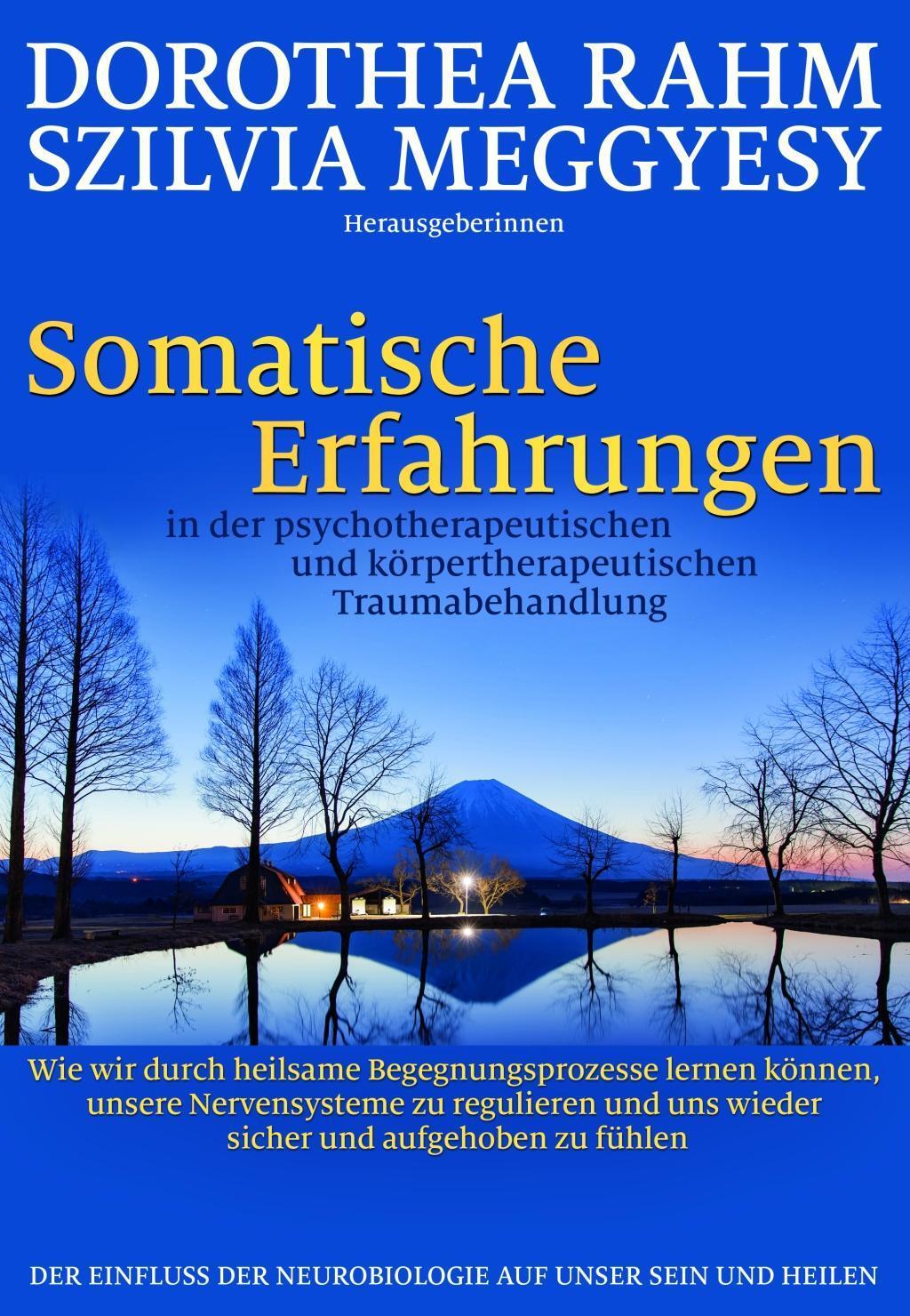 Cover: 9783944476278 | Somatische Erfahrungen in der psychotherapeutischen und...