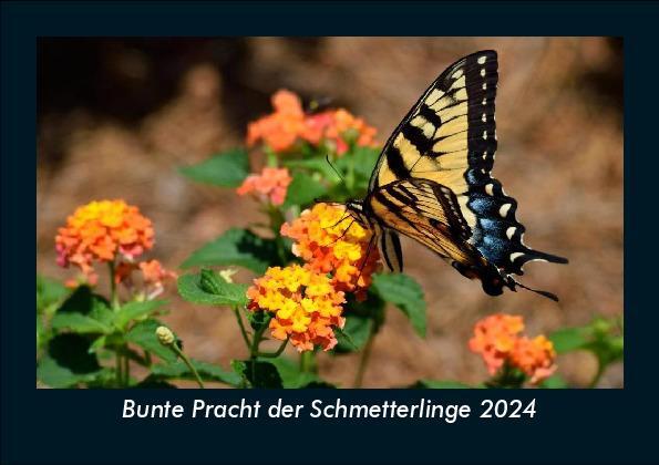 Cover: 9783755949763 | Bunte Pracht der Schmetterlinge 2024 Fotokalender DIN A5 | Becker