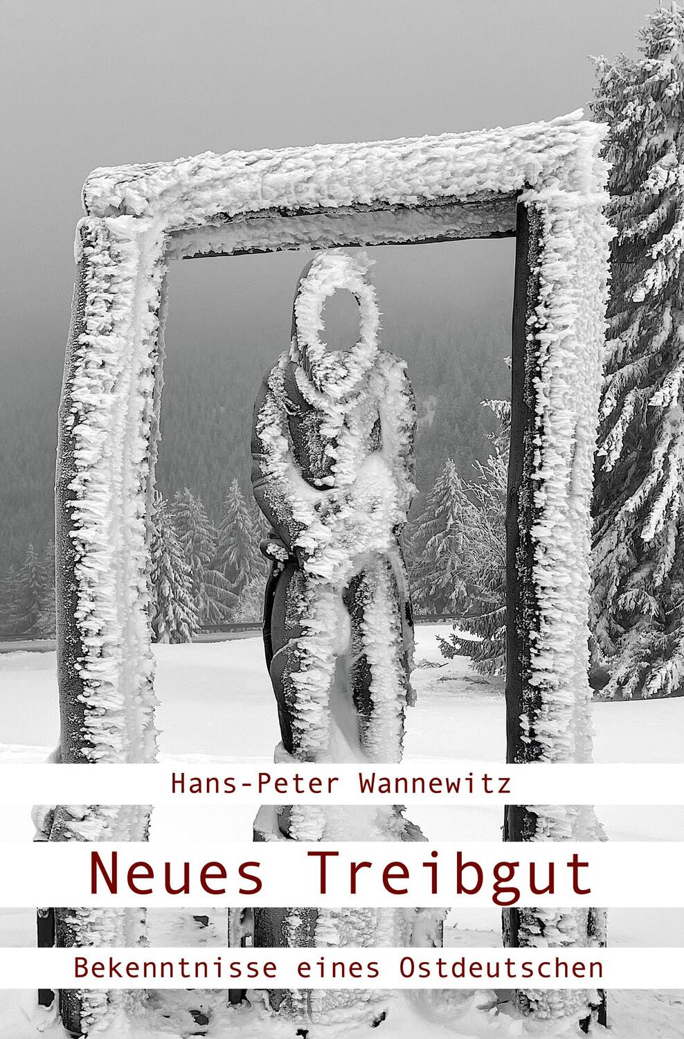 Cover: 9783988852663 | Neues Treibgut | Hans-Peter Wannewitz | Taschenbuch | Paperback | 2024