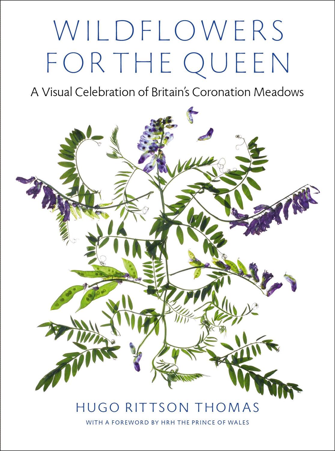 Cover: 9781527249592 | Wildflowers for the Queen | Hugo Rittson Thomas | Buch | Gebunden