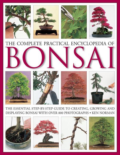 Cover: 9780754821809 | Complete Practical Encyclopedia of Bonsai | Ken Norman | Buch | 2013
