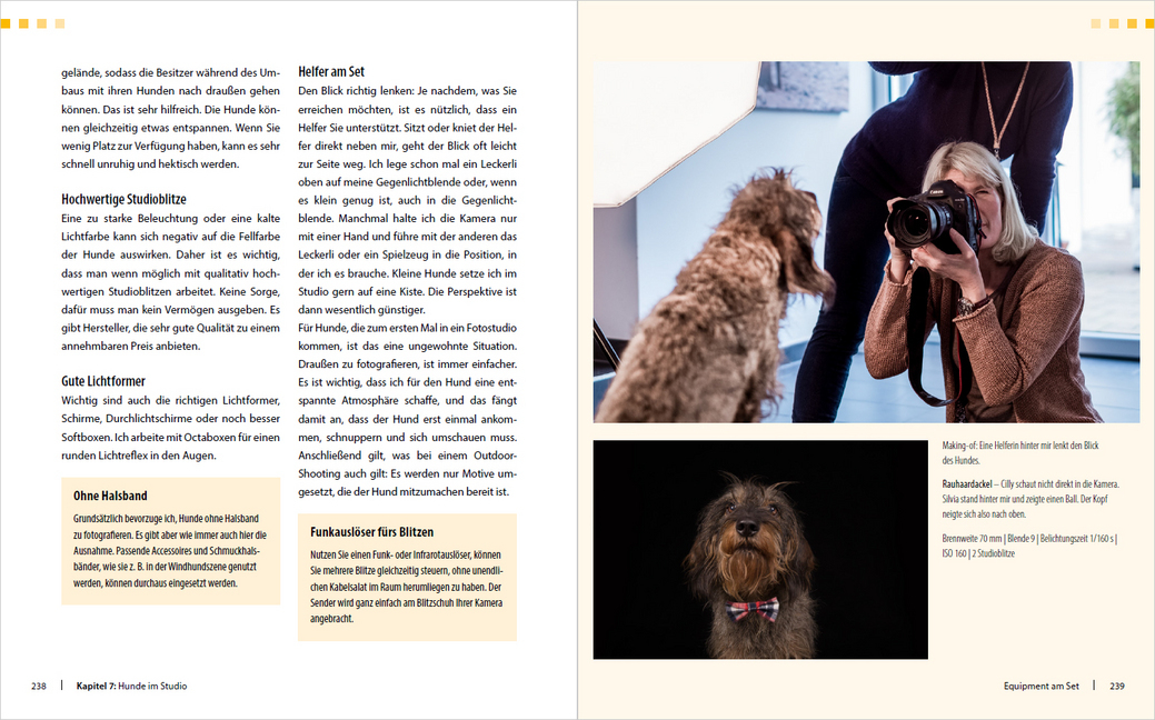 Bild: 9783832803490 | Hunde-Shooting - Fotografieren mit "Wau-Effekt" | Regine Heuser | Buch