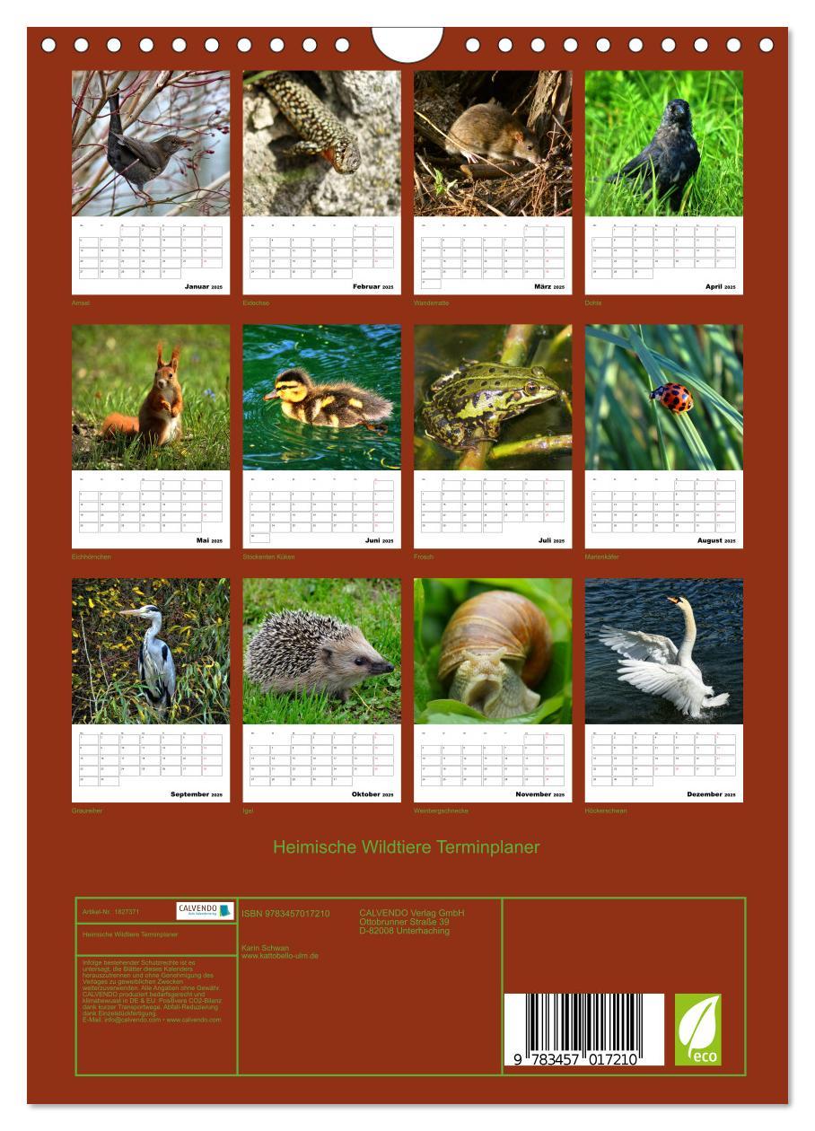 Bild: 9783457017210 | Heimische Wildtiere Terminplaner (Wandkalender 2025 DIN A4 hoch),...