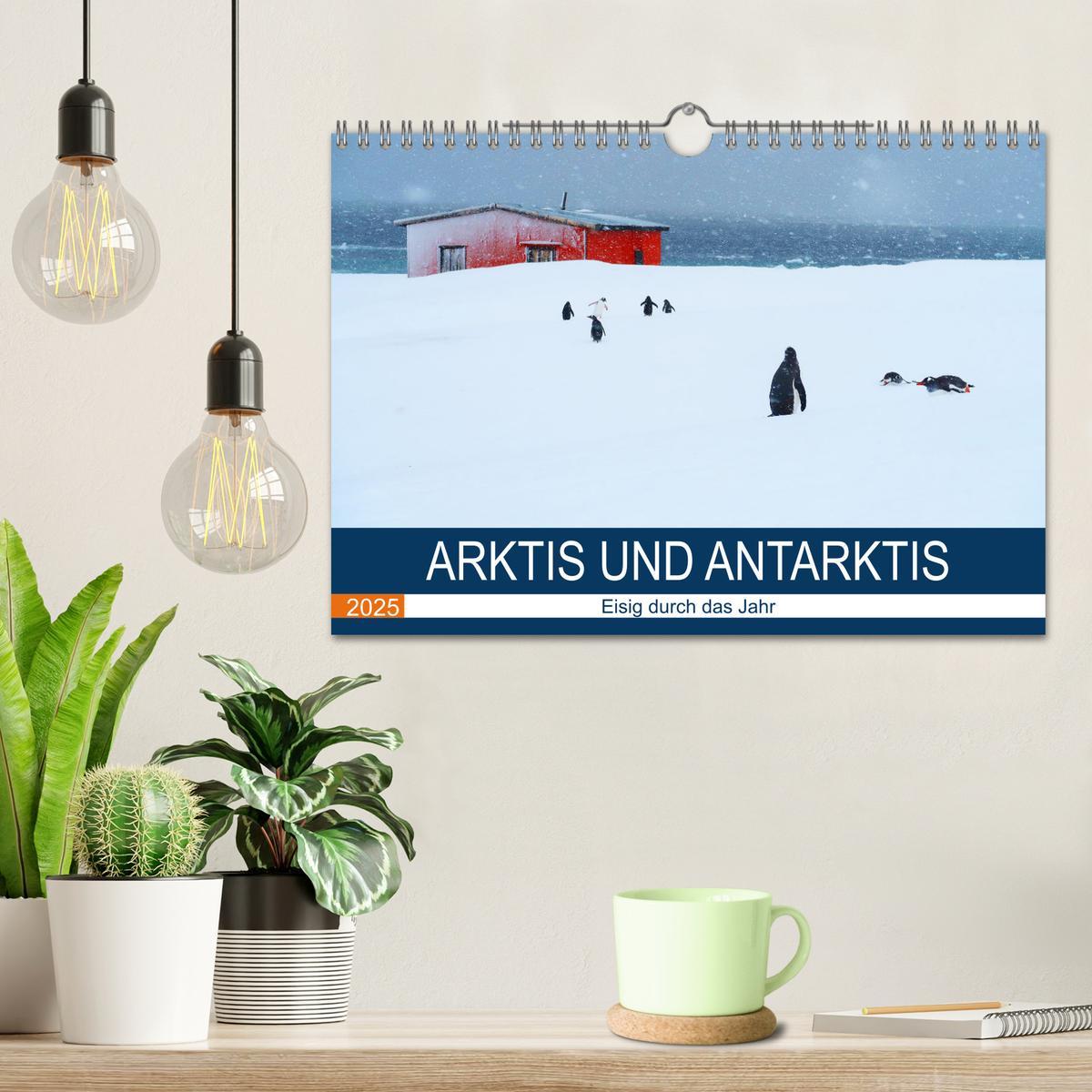 Bild: 9783383980596 | Arktis und Antarktis - Eisig durch das Jahr (Wandkalender 2025 DIN...