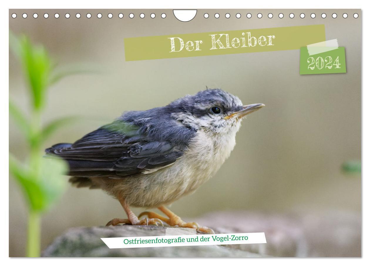 Cover: 9783675709041 | Der Kleiber - Ostfriesenfotografie und der Vogel-Zorro...