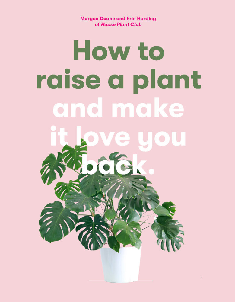 Cover: 9781786273017 | How to Raise a Plant | (and Make It Love You Back) | Doane (u. a.)