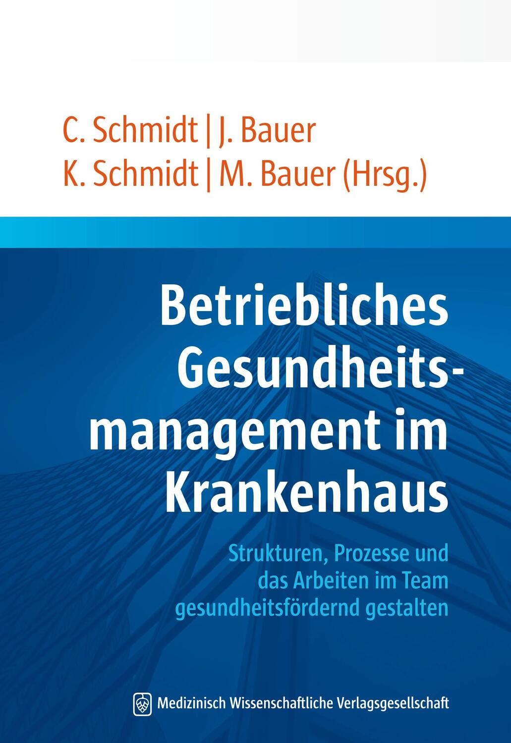Cover: 9783941468986 | Betriebliches Gesundheitsmanagement im Krankenhaus | Schmidt (u. a.)
