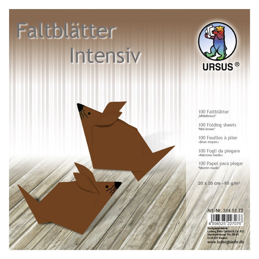 Cover: 4008525227076 | URSUS Falten Faltblätter Uni intensiv, Plakatkarton, 65 g/m², 20 x...