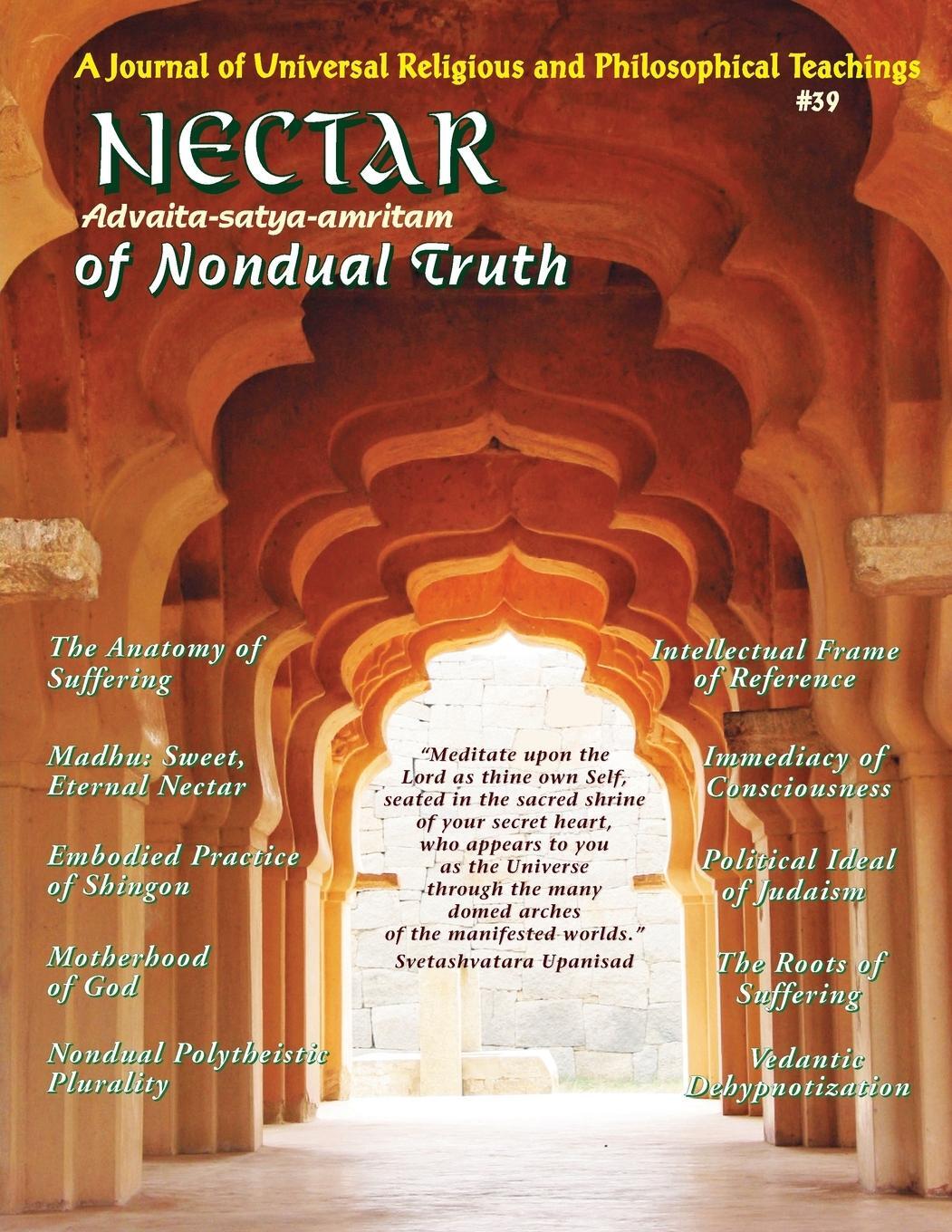 Cover: 9781891893346 | Nectar of Nondual Truth #39 | Rabbi Rami Shapiro | Taschenbuch | 2023