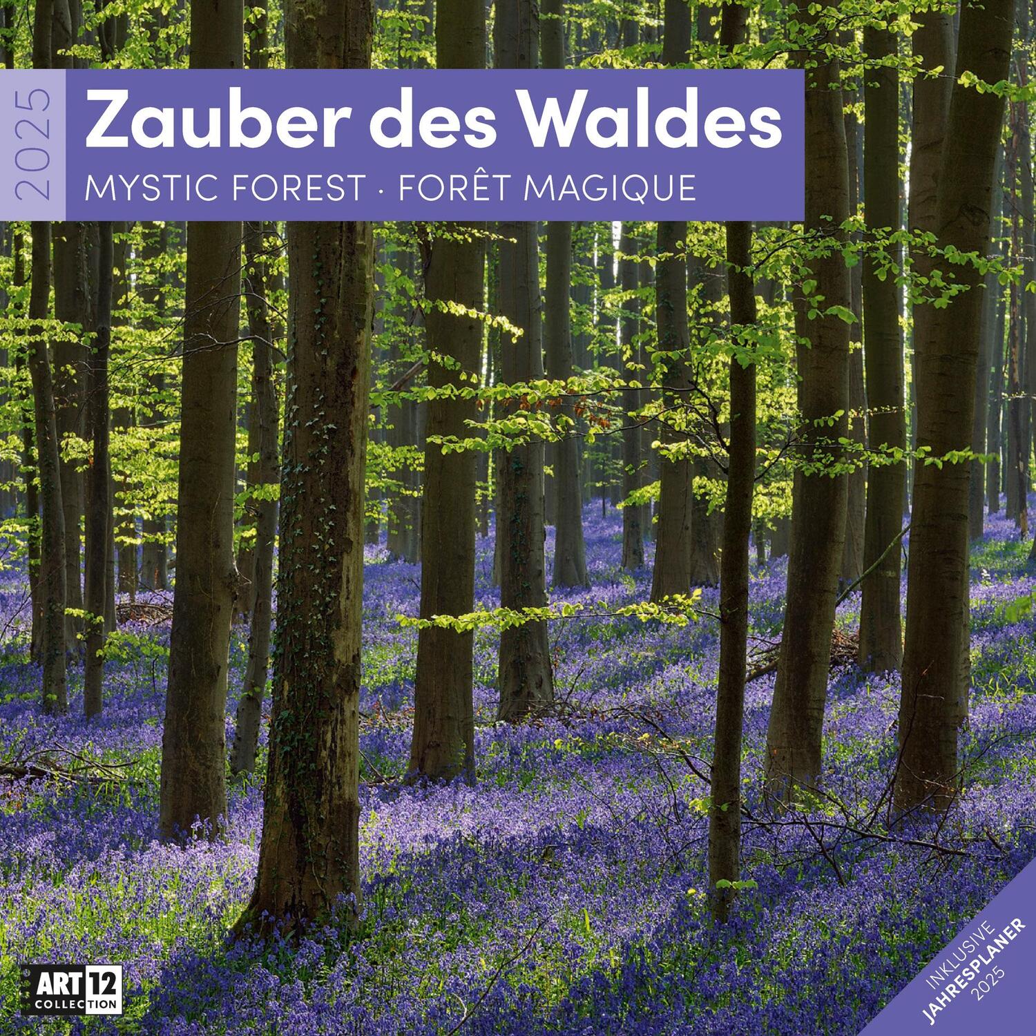 Cover: 9783838445113 | Zauber des Waldes Kalender 2025 - 30x30 | Ackermann Kunstverlag | 2025