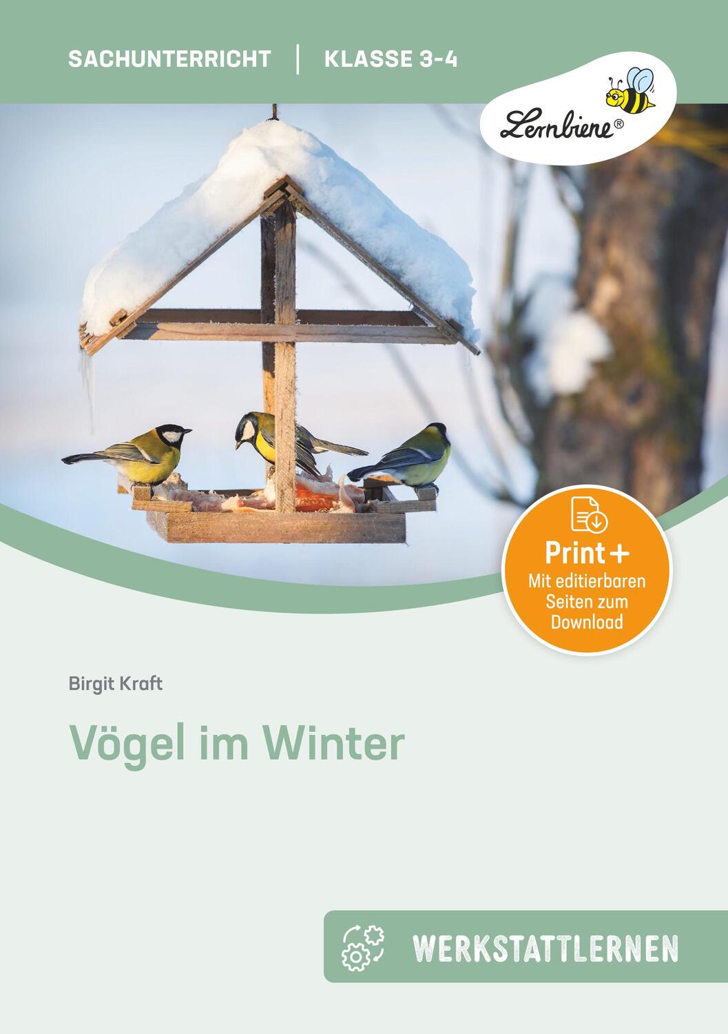 Cover: 9783956649400 | Vögel im Winter | (3. und 4. Klasse) | Birgit Kraft | Bundle | 1 Stück