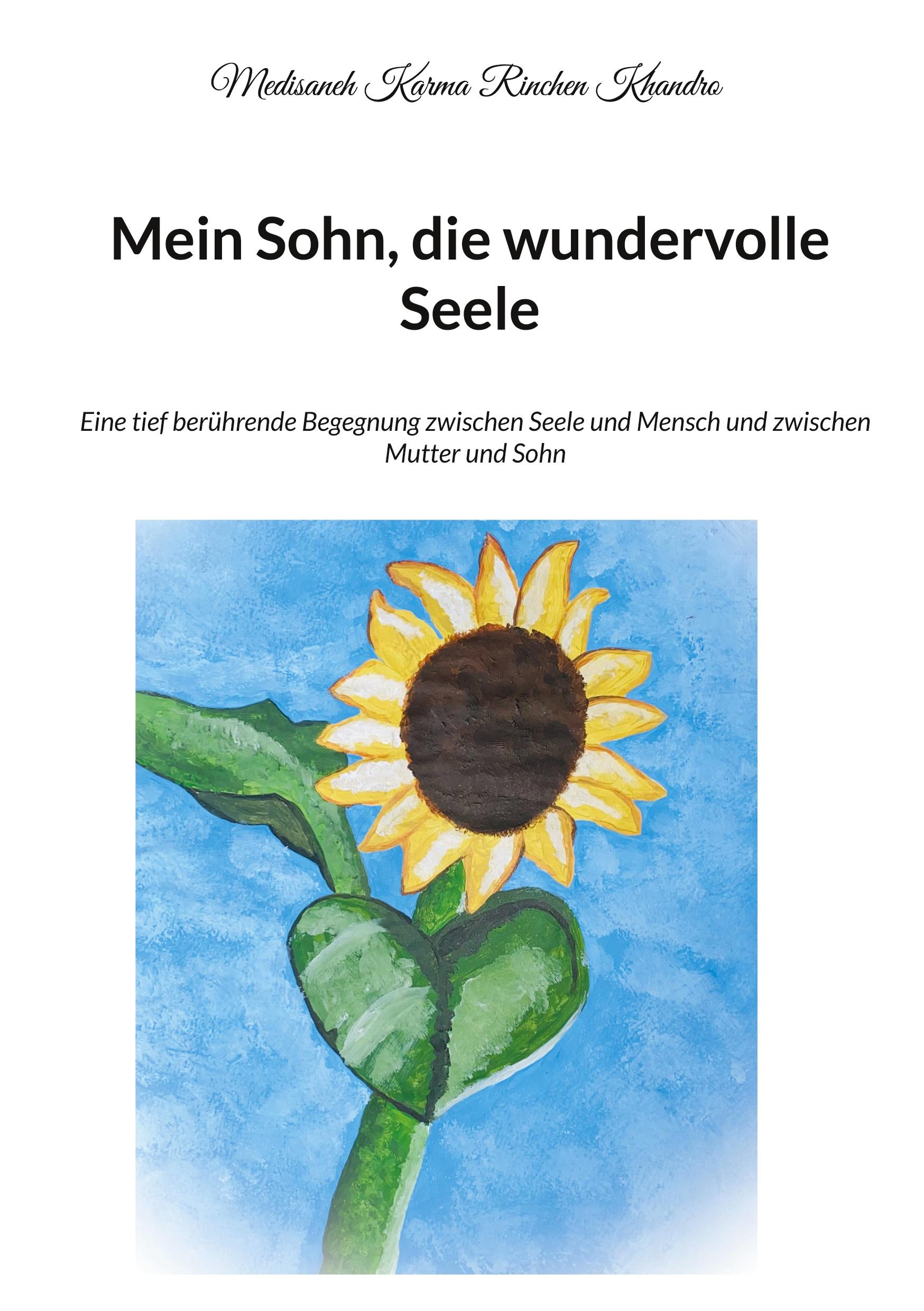 Cover: 9783754348444 | Mein Sohn, die wundervolle Seele | Medisaneh Karma Rinchen Khandro