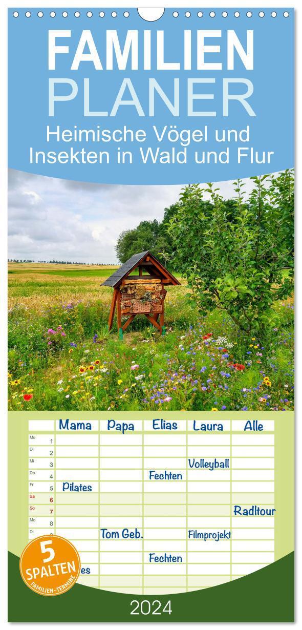 Cover: 9783675600096 | Familienplaner 2024 - Heimische Vögel und Insekten in Wald und Flur...