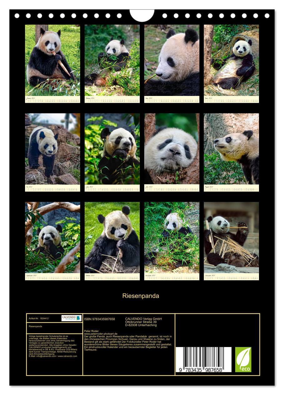 Bild: 9783435987658 | Riesenpanda (Wandkalender 2025 DIN A4 hoch), CALVENDO Monatskalender