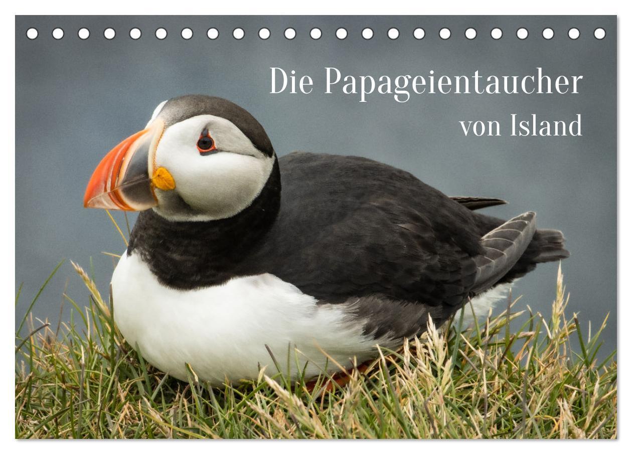 Cover: 9783675927841 | Die Papageientaucher von Island (Tischkalender 2024 DIN A5 quer),...