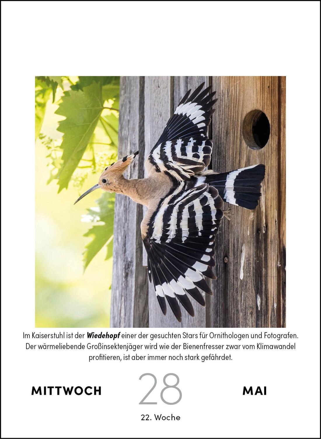 Bild: 9783517102993 | Vogelkalender 2025 - Tagesabreißkalender zum Aufstellen oder Aufhängen