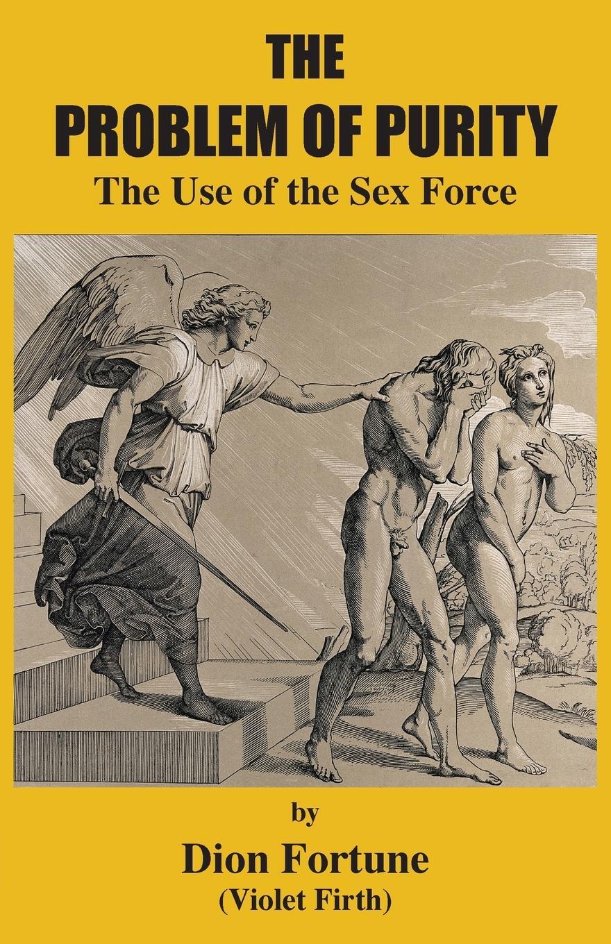 Cover: 9781585094554 | The Problem of Purity | The Use of the Sex Force | Fortune (u. a.)