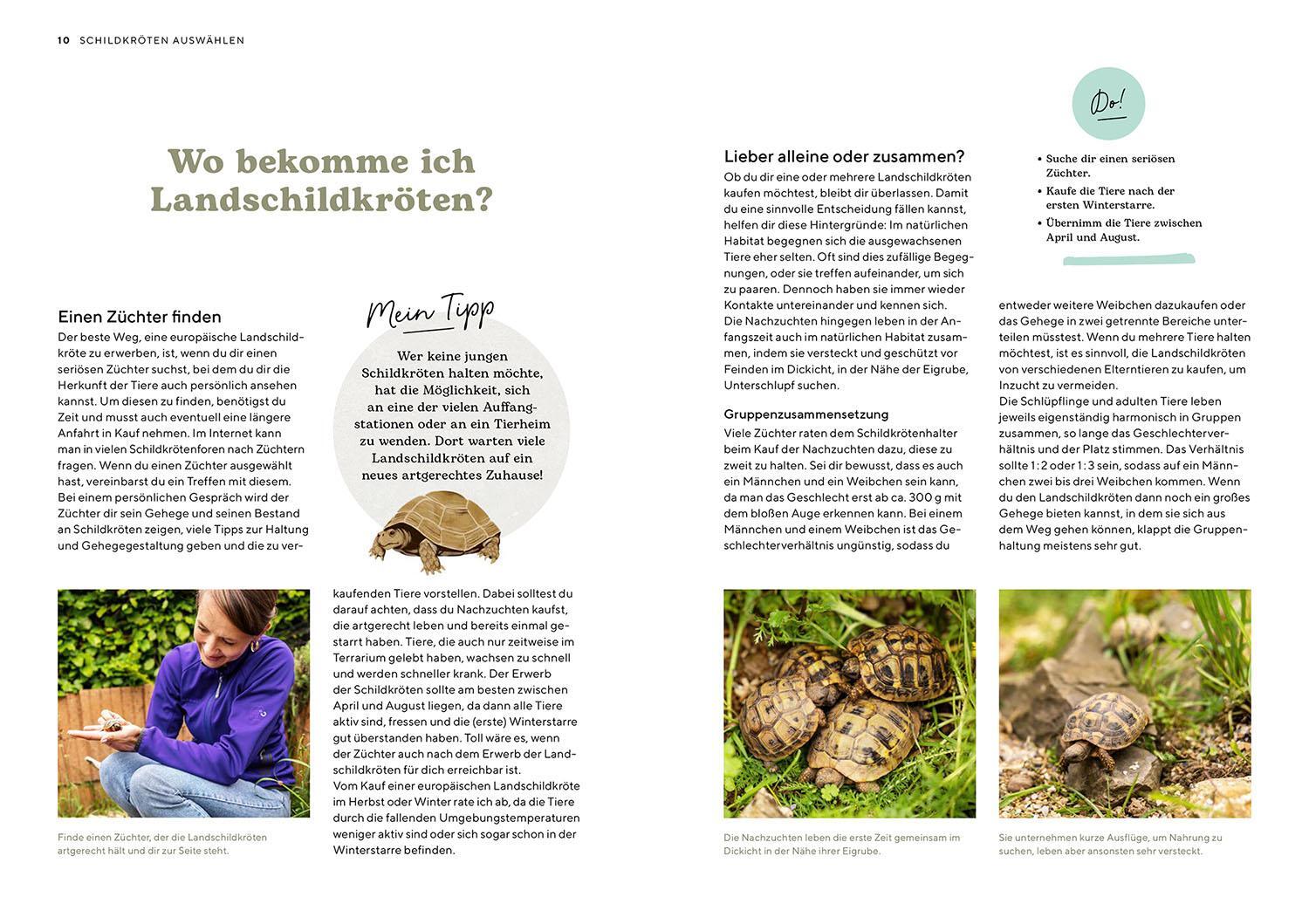 Bild: 9783440178485 | Landschildkröten | Svenja Wilms | Taschenbuch | Mein Tier | 96 S.