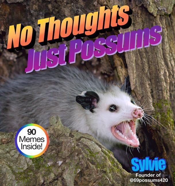 Cover: 9781454948490 | No Thoughts Just Possums | Sylvie | Buch | Englisch | 2023