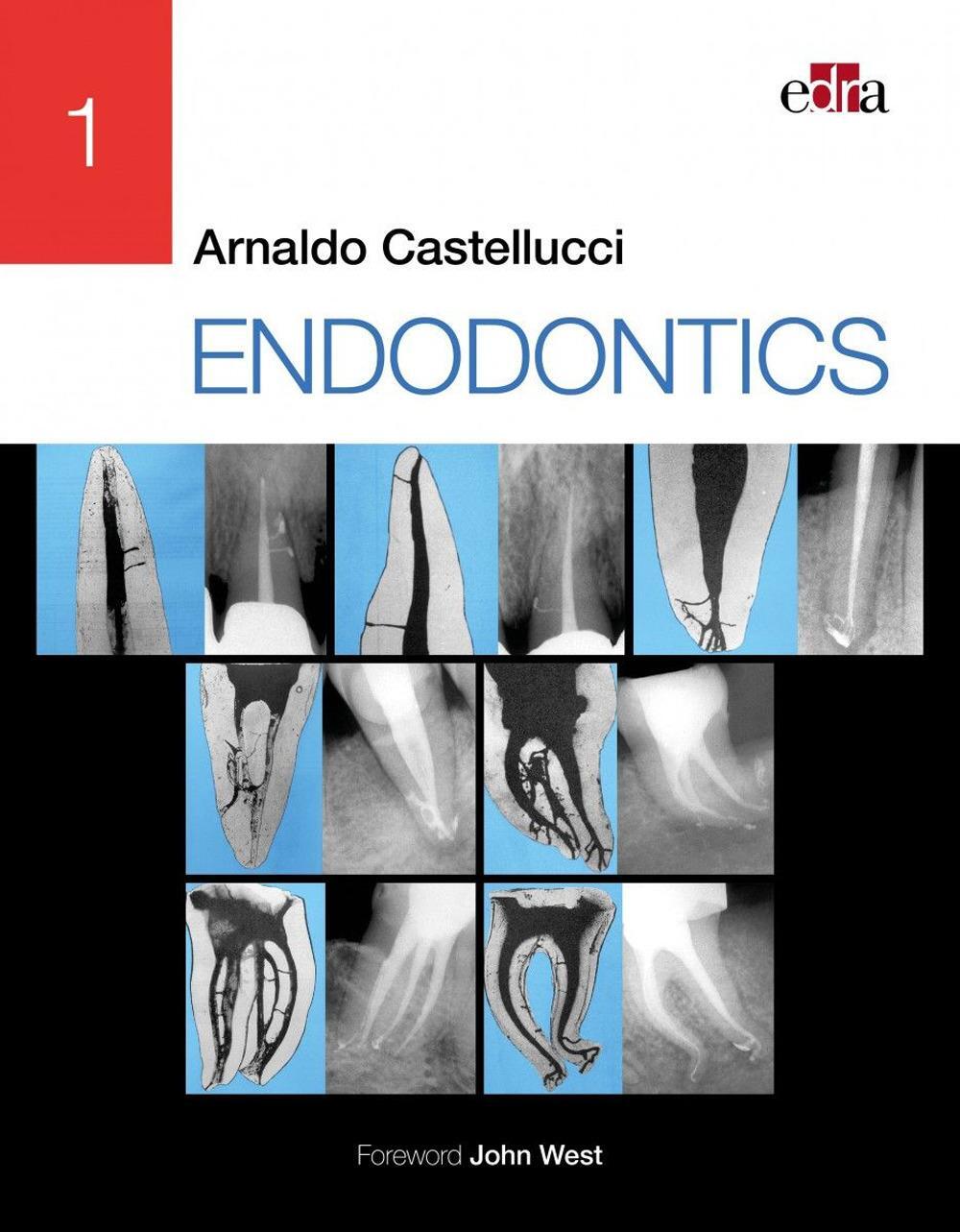 Cover: 9781957260051 | ENDODONTICS - 2 Volume Set | Arnaldo Castellucci | Buch | Gebunden