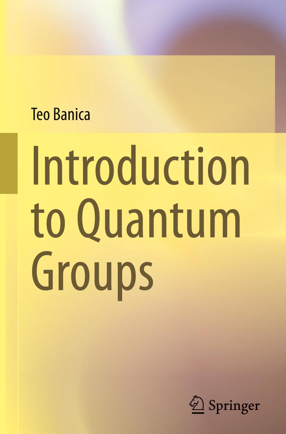 Cover: 9783031238161 | Introduction to Quantum Groups | Teo Banica | Buch | X | Englisch