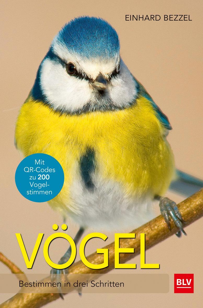Cover: 9783835415836 | Vögel | Bestimmen in drei Schritten | Einhard Bezzel | Taschenbuch