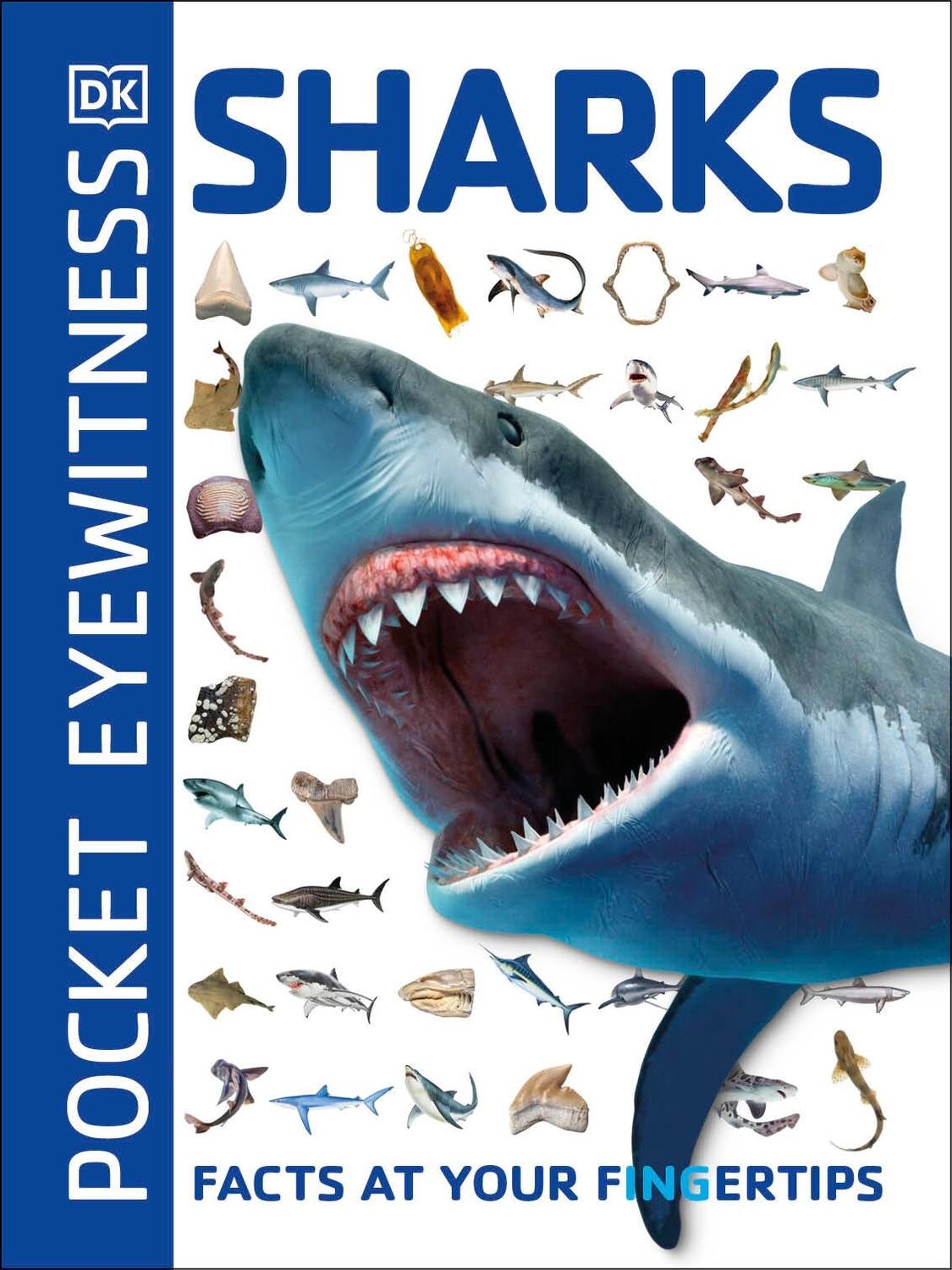 Cover: 9780241343616 | Pocket Eyewitness Sharks | Facts at Your Fingertips | DK | Taschenbuch