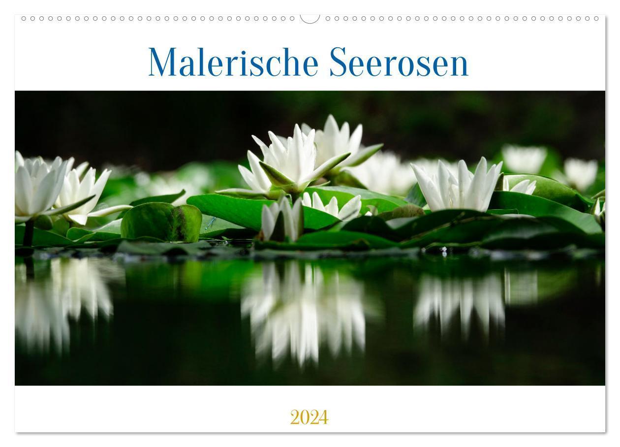 Cover: 9783675430143 | Malerische Seerosen (Wandkalender 2024 DIN A2 quer), CALVENDO...