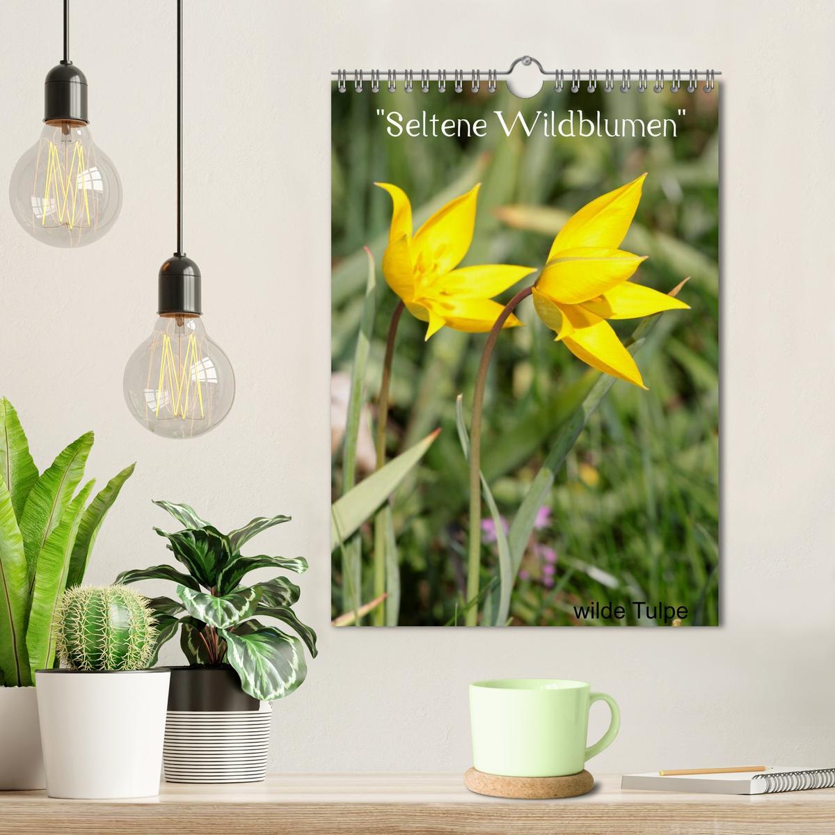 Bild: 9783457064566 | Seltene Wildblumen (Wandkalender 2025 DIN A4 hoch), CALVENDO...