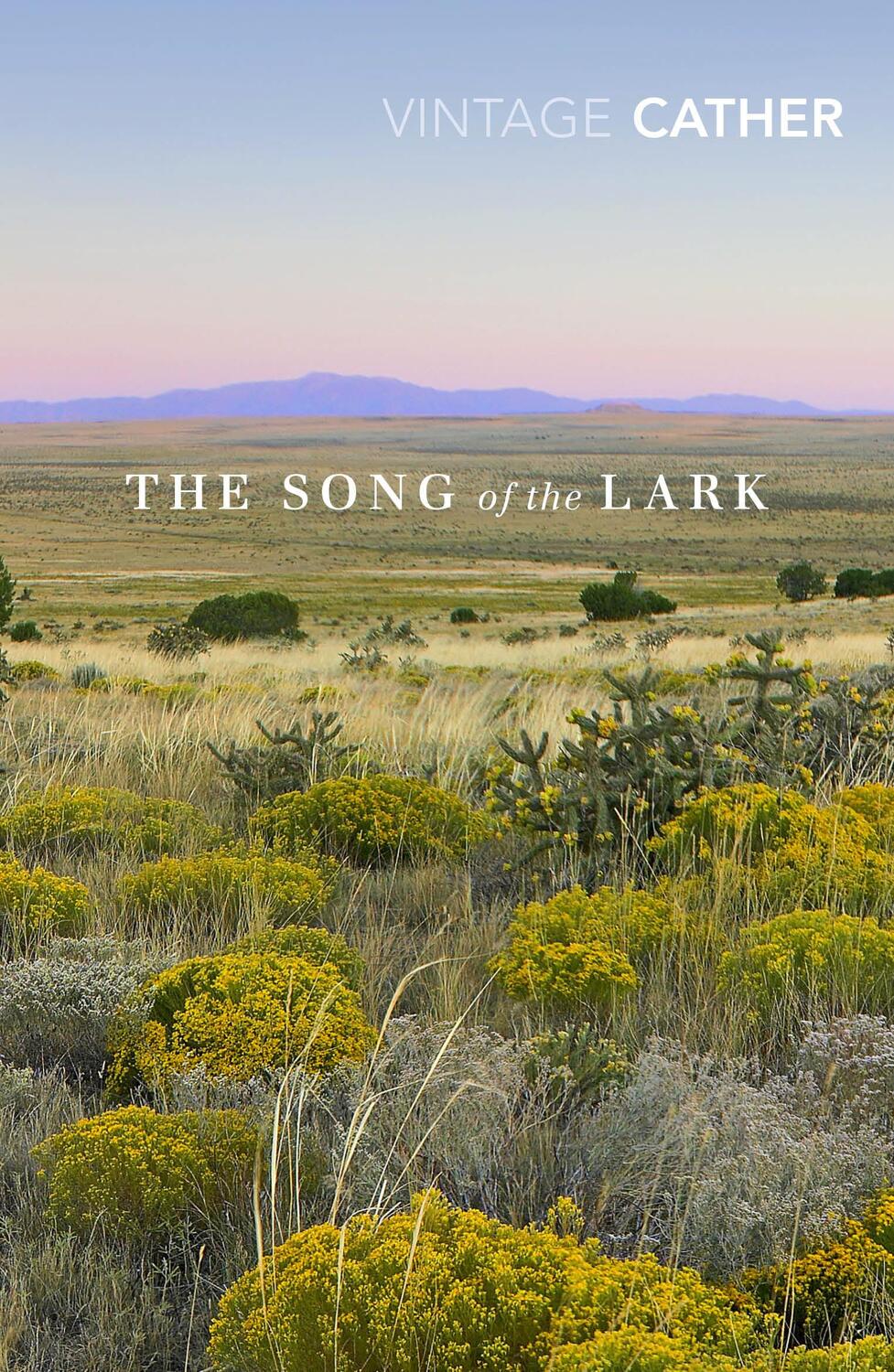 Cover: 9781784874438 | The Song of the Lark | Willa Cather | Taschenbuch | Englisch | 2019