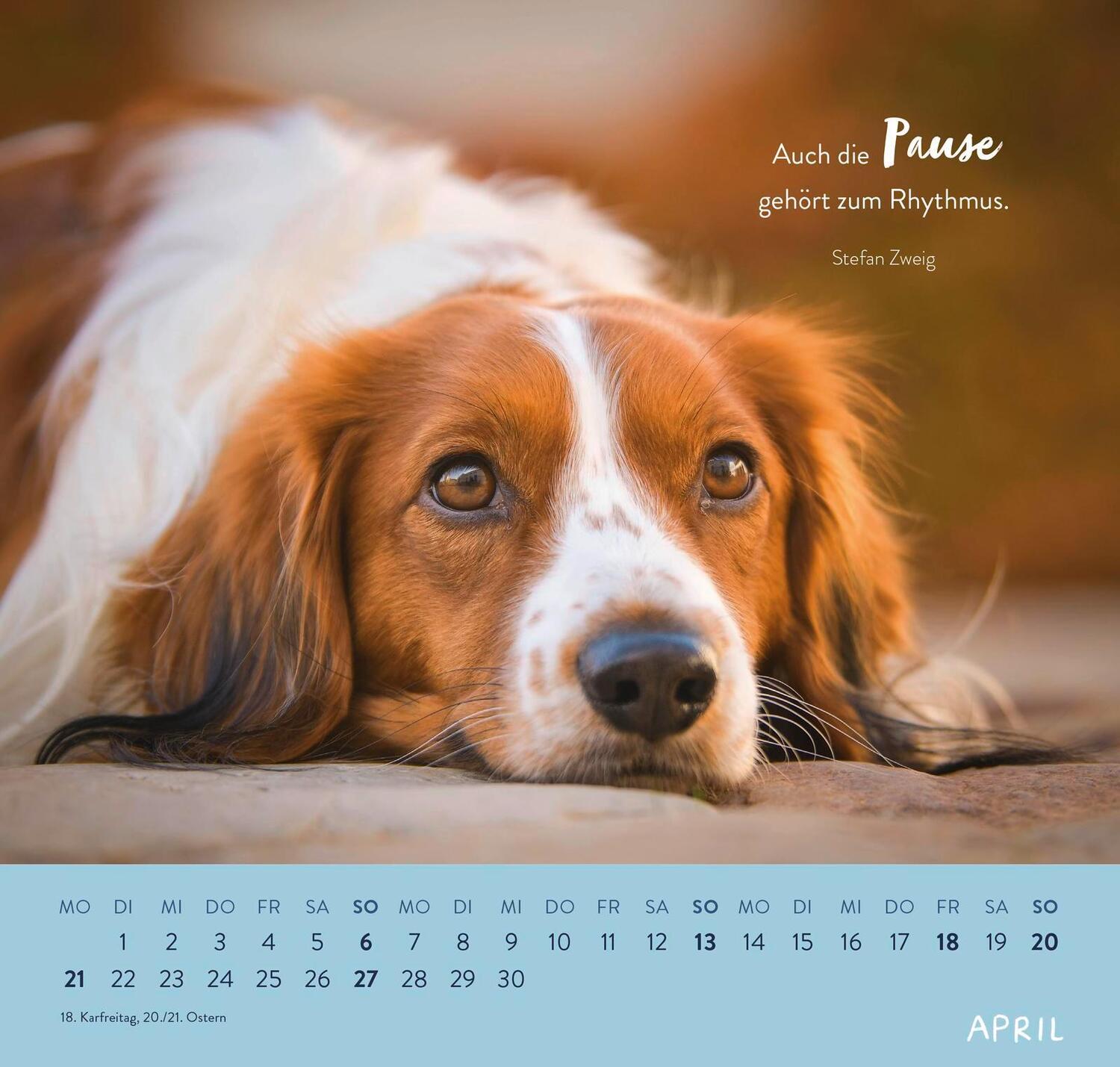 Bild: 4036442011867 | Wandkalender 2025: Für Hundefreunde | Groh Verlag | Kalender | 12 S.