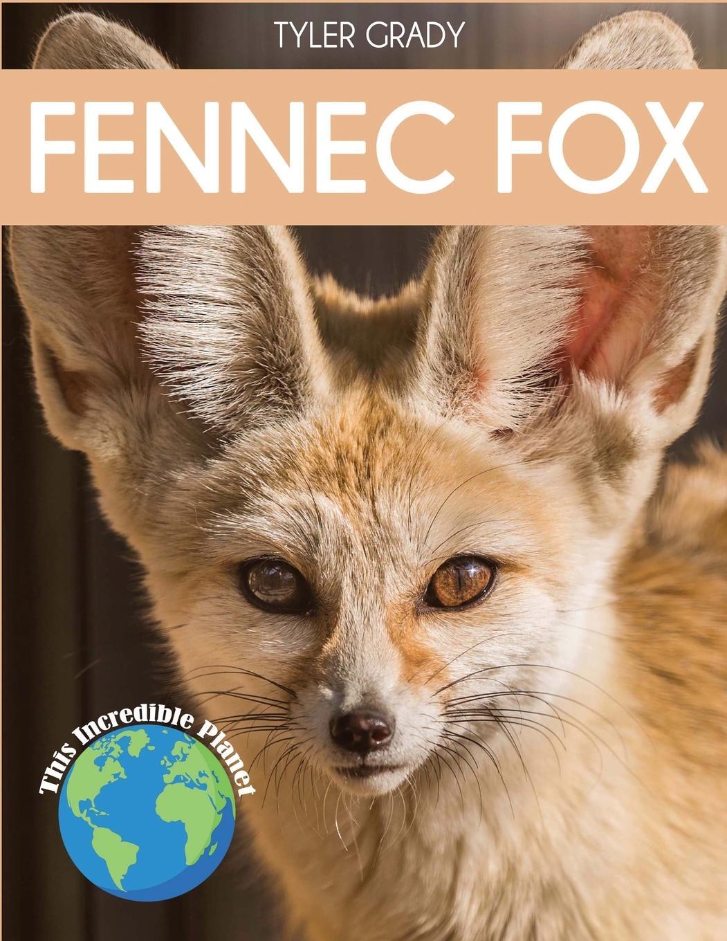 Cover: 9781647900960 | Fennec Fox | Fascinating Animal Facts for Kids | Tyler Grady | Buch