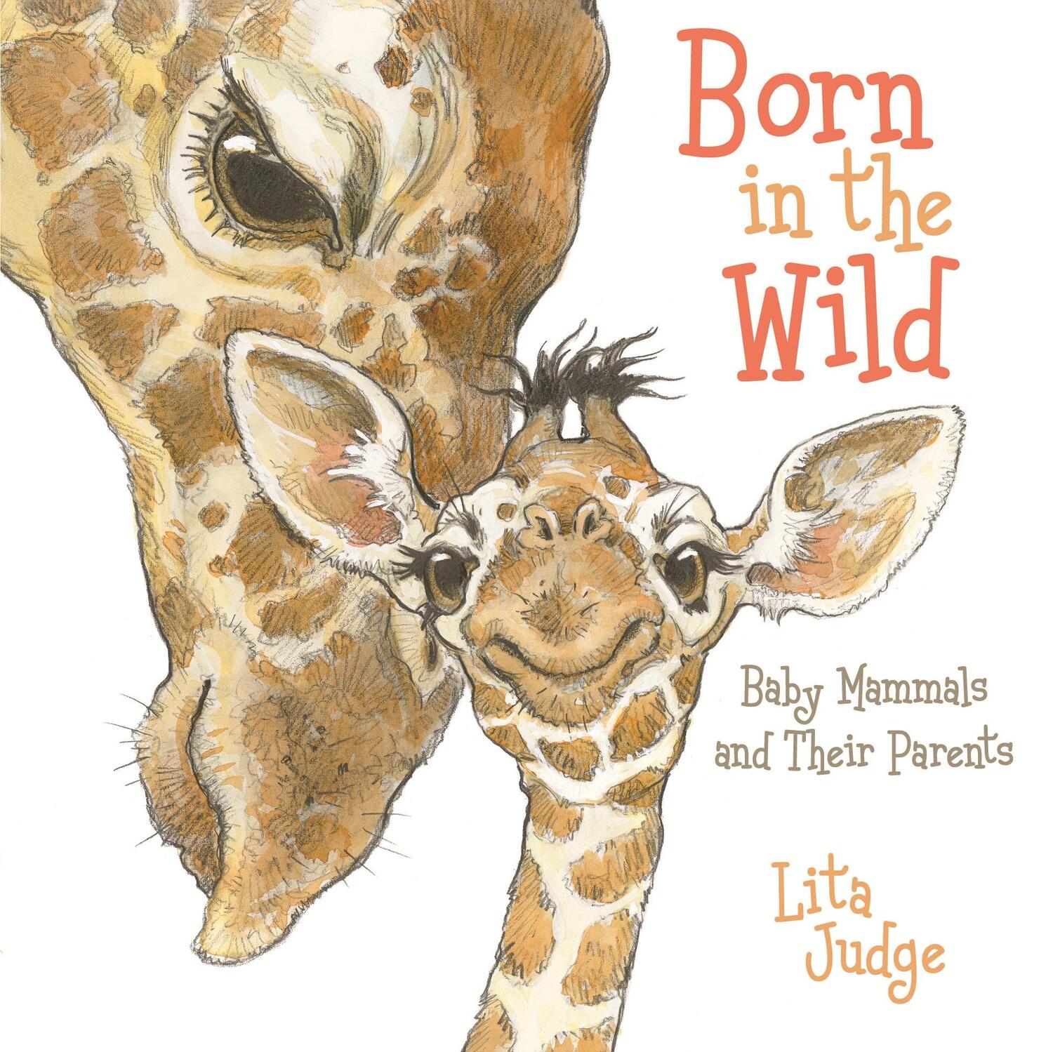 Cover: 9781250189905 | Born in the Wild | Baby Animals and Their Parents | Lita Judge | Buch