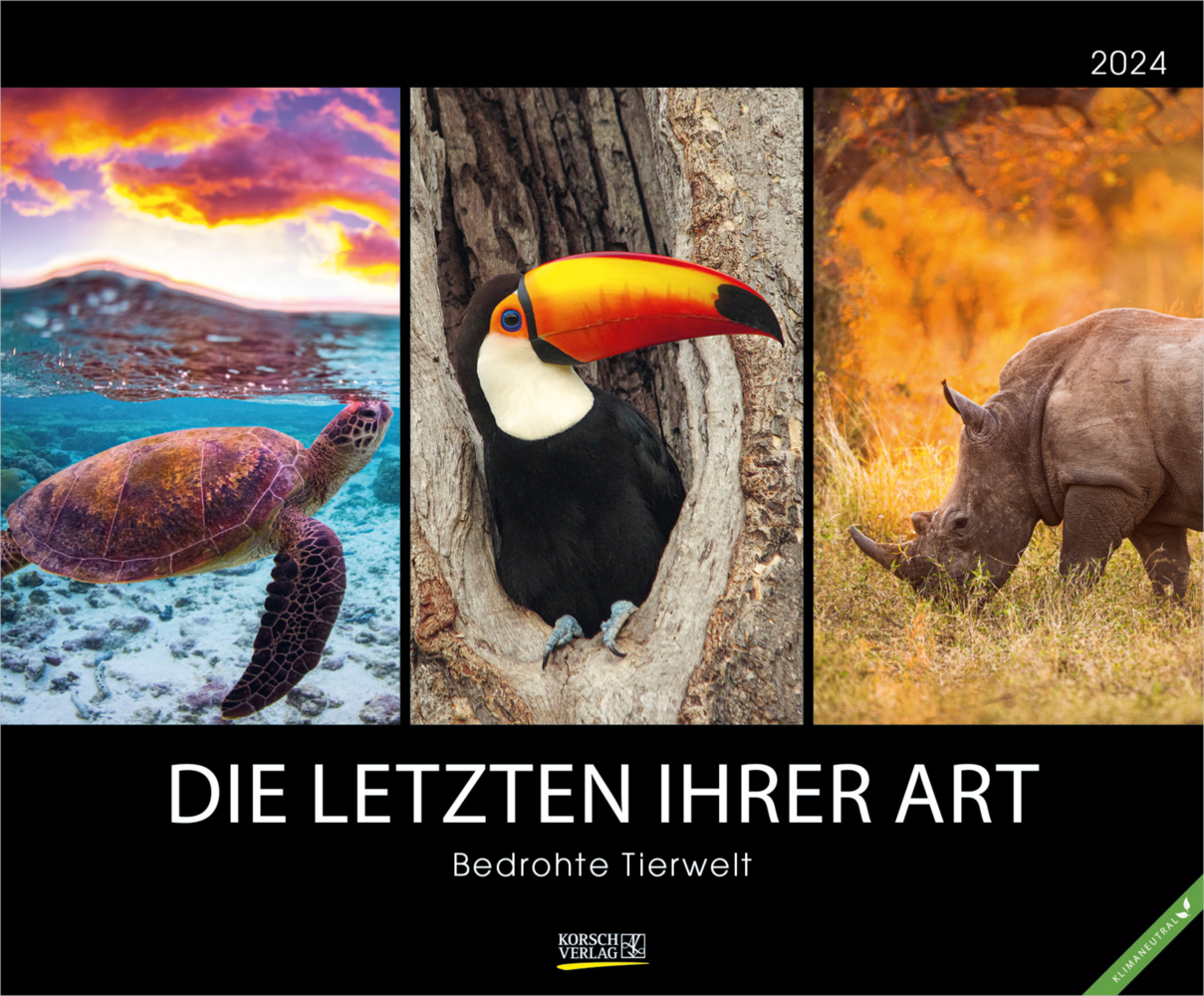 Cover: 9783731868606 | Bedrohte Tierwelt 2024 | Korsch Verlag | Kalender | Spiralbindung