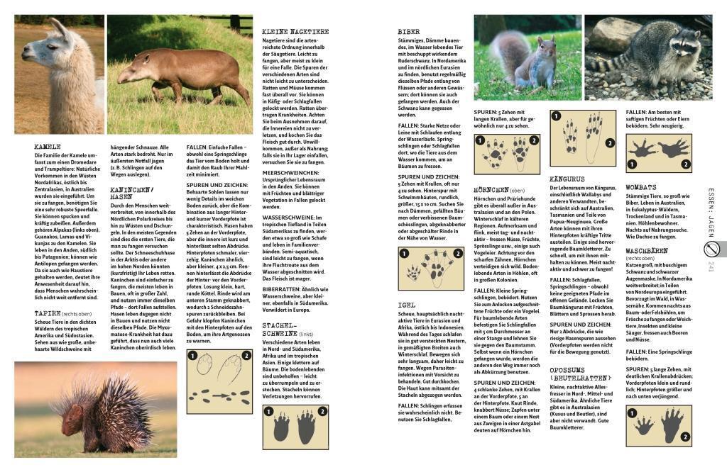 Bild: 9783866904354 | Der große National Geographic Survival Guide | John 'Lofty' Wiseman