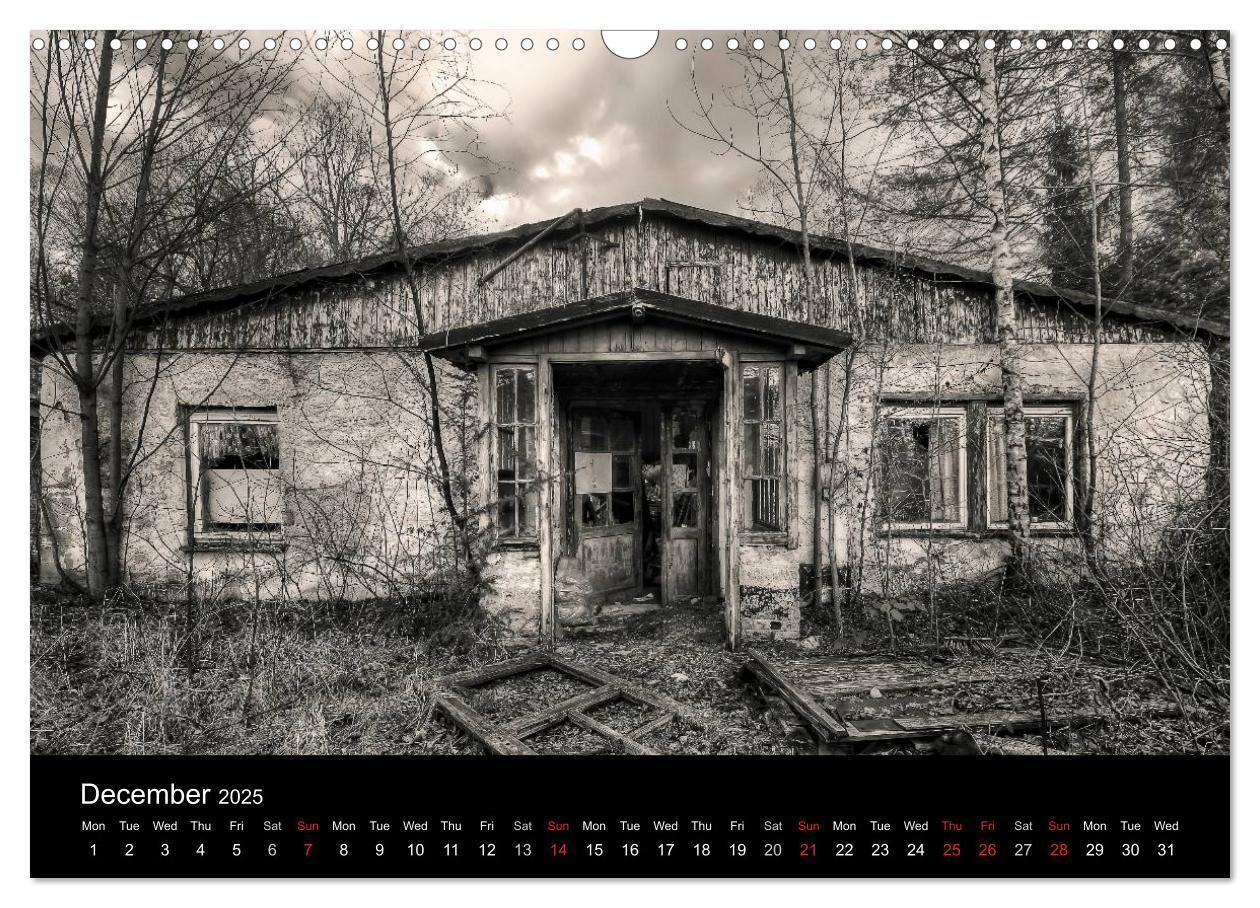 Bild: 9781325955602 | Abandoned Places Haunted Houses (Wall Calendar 2025 DIN A3...