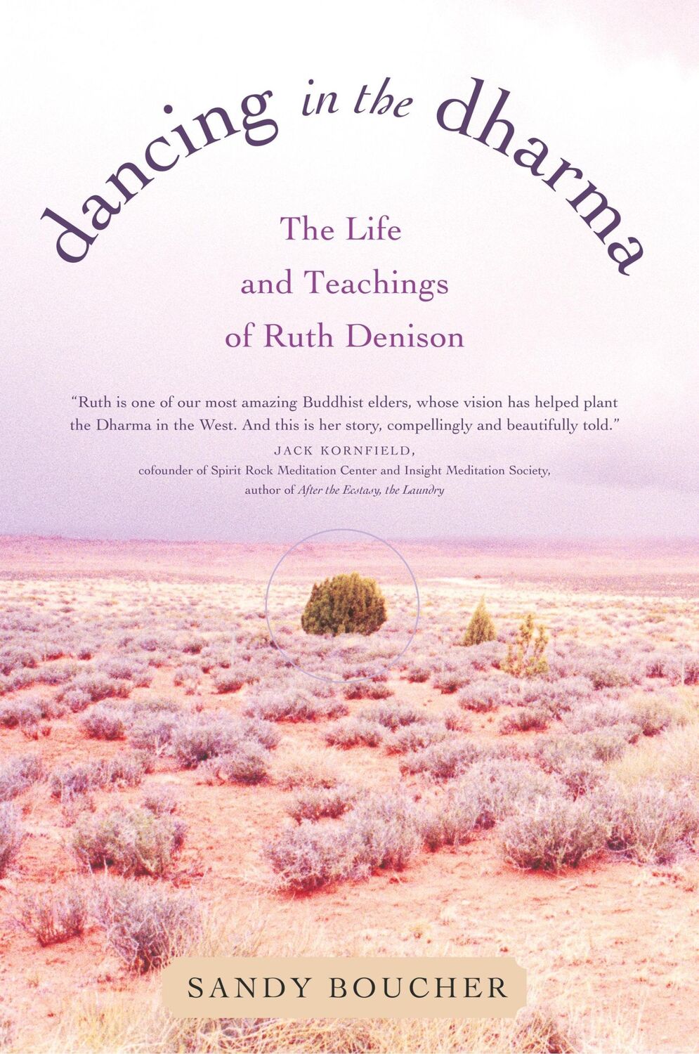 Cover: 9780807073193 | Dancing in the Dharma | The Life and Teachings of Ruth Denison | Buch