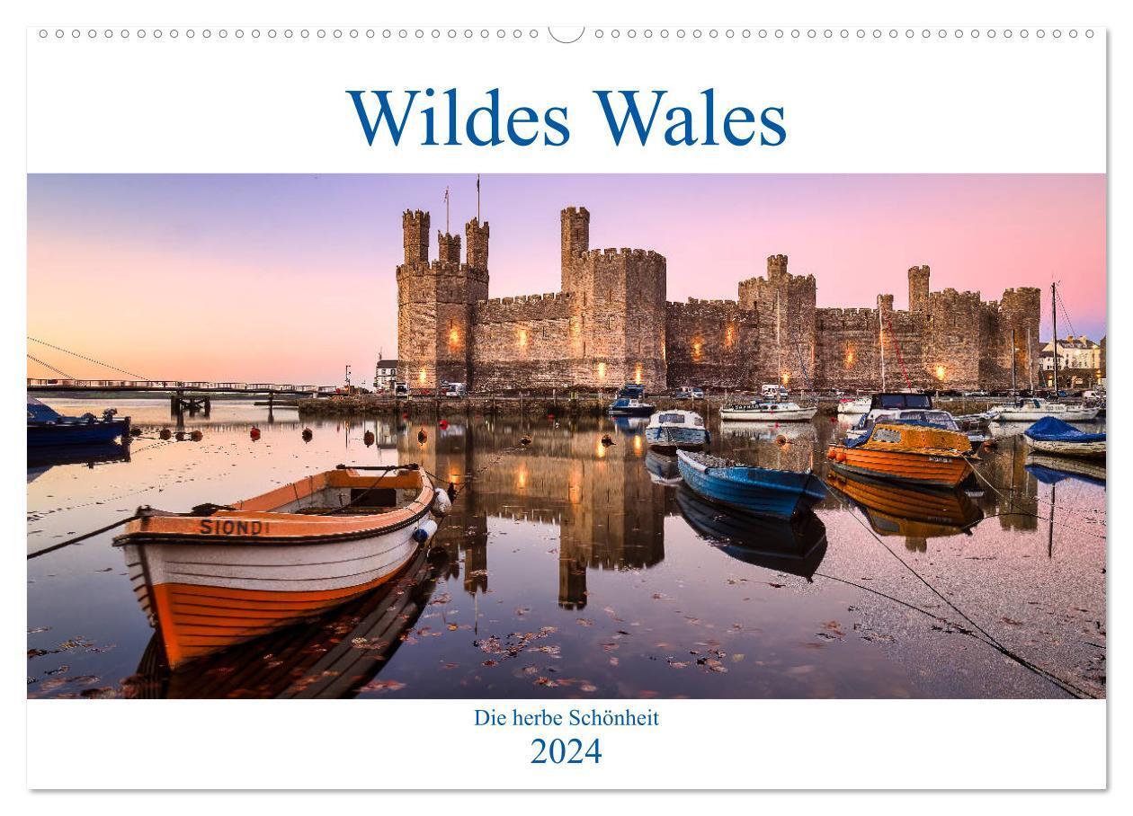 Cover: 9783675633001 | Wildes Wales (Wandkalender 2024 DIN A2 quer), CALVENDO Monatskalender