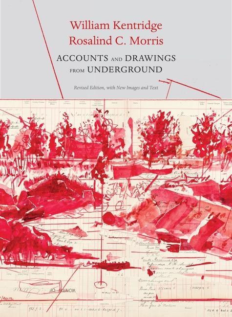 Cover: 9780857428523 | Accounts and Drawings from Underground | William Kentridge (u. a.)
