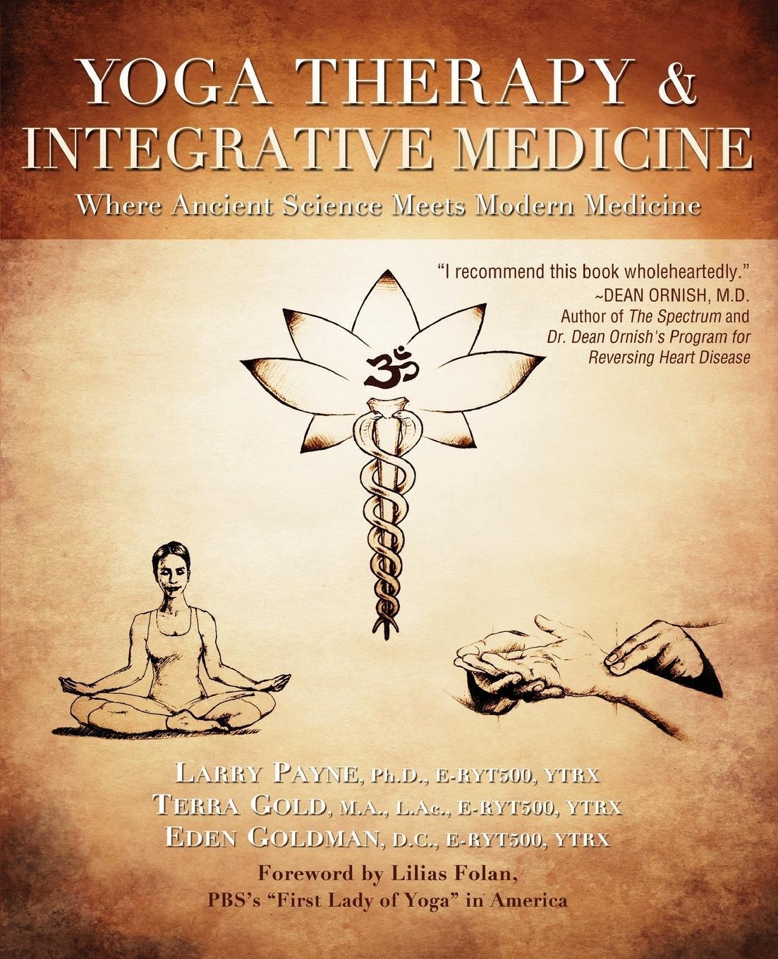 Cover: 9781591203667 | Yoga Therapy &amp; Integrative Medicine | Ph. D. E-RYT Payne (u. a.)
