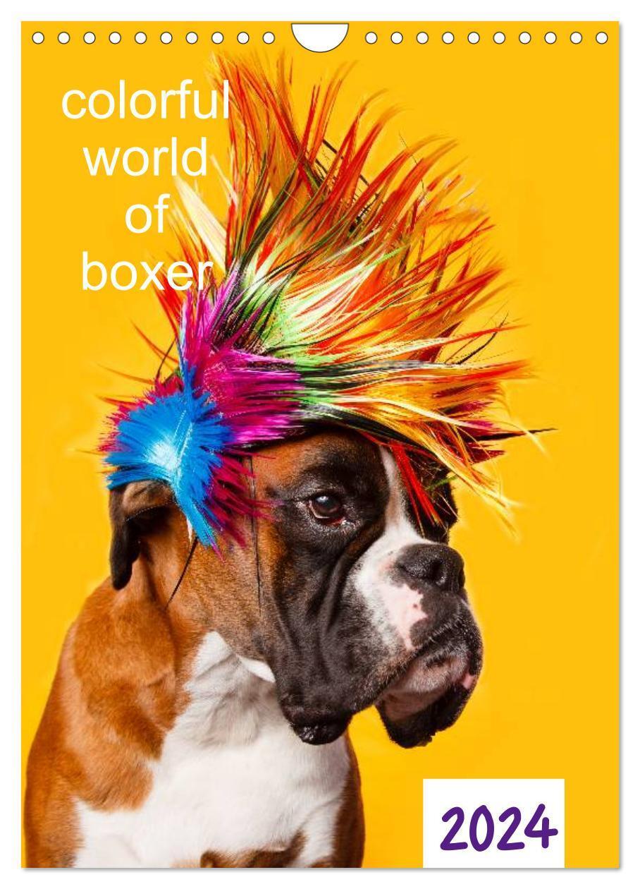 Cover: 9783383615542 | colorful world of boxer 2024 (Wandkalender 2024 DIN A4 hoch),...