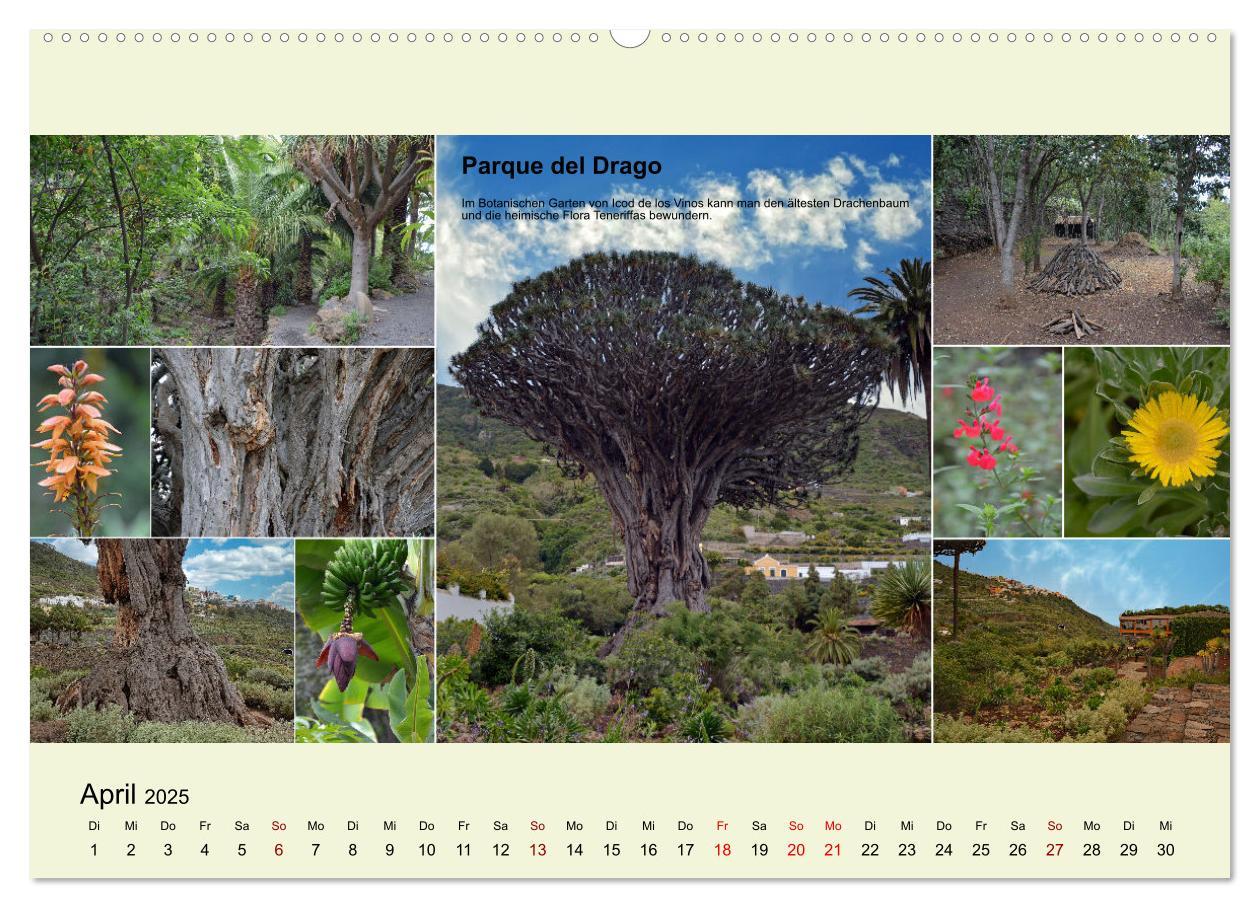 Bild: 9783435005550 | Zauberhaftes Teneriffa (Wandkalender 2025 DIN A2 quer), CALVENDO...