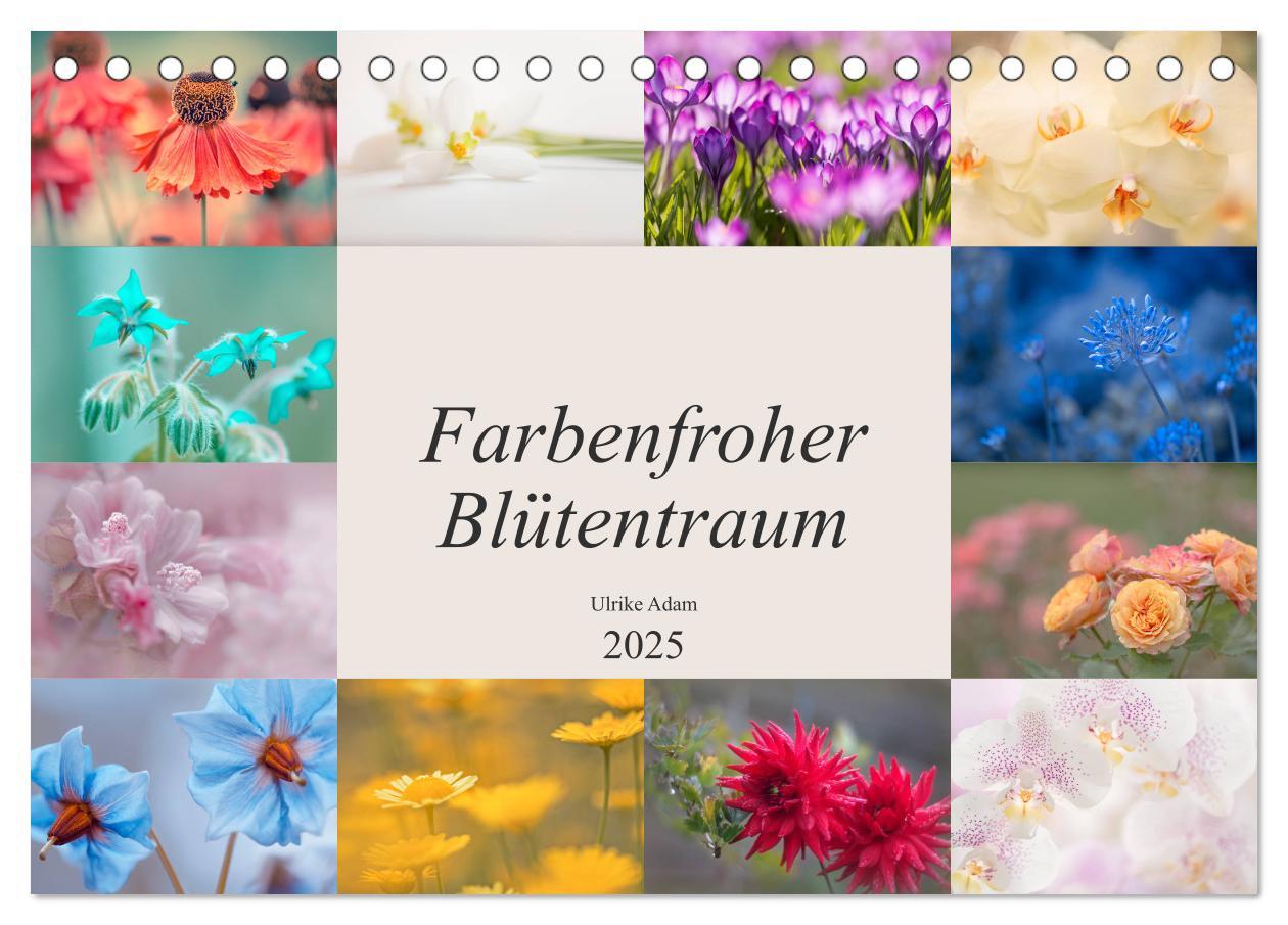 Cover: 9783435249237 | Farbenfroher Blütentraum (Tischkalender 2025 DIN A5 quer), CALVENDO...