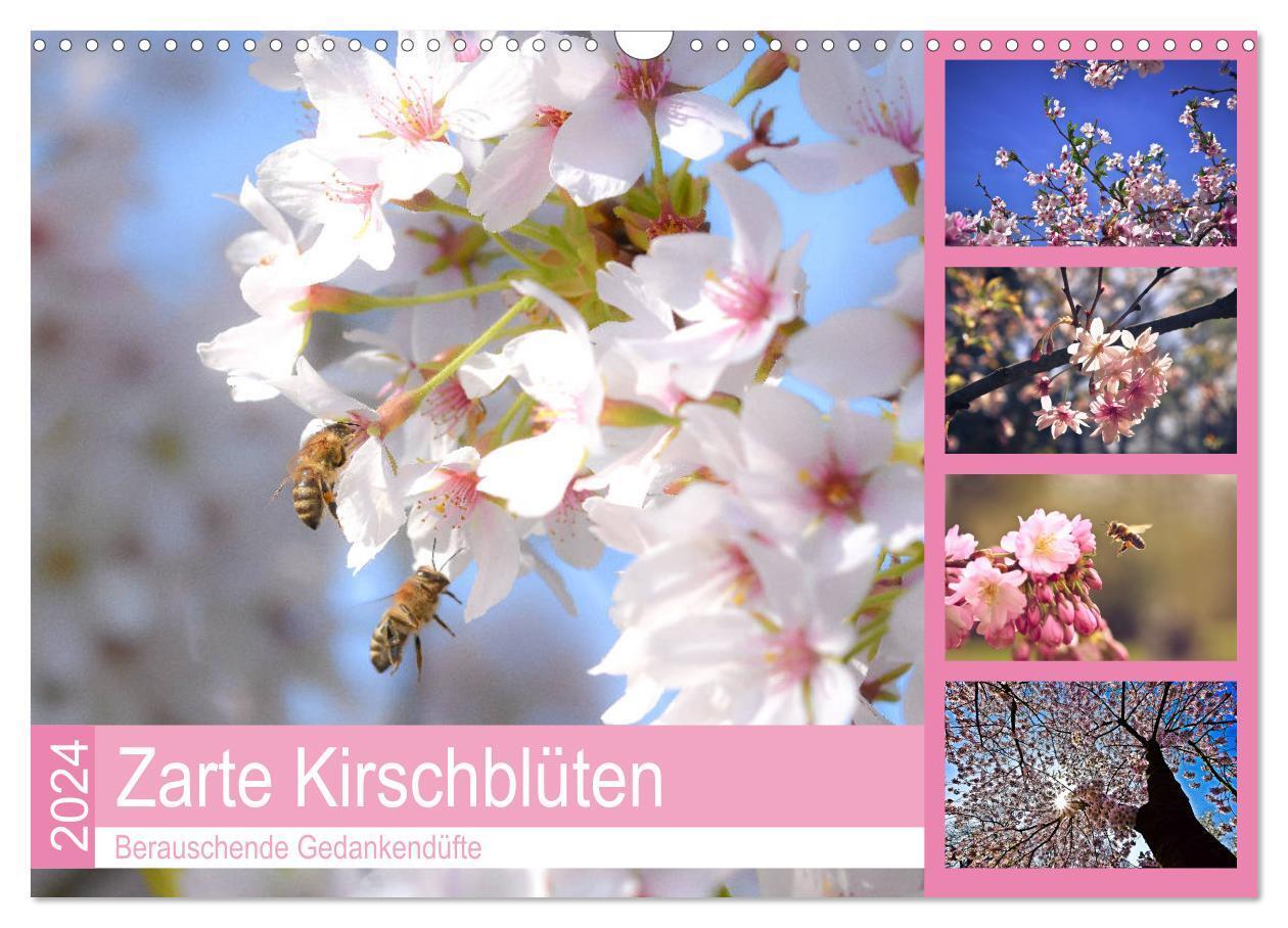 Cover: 9783383189869 | Zarte Kirschblüten - Berauschende Gedankendüfte (Wandkalender 2024...