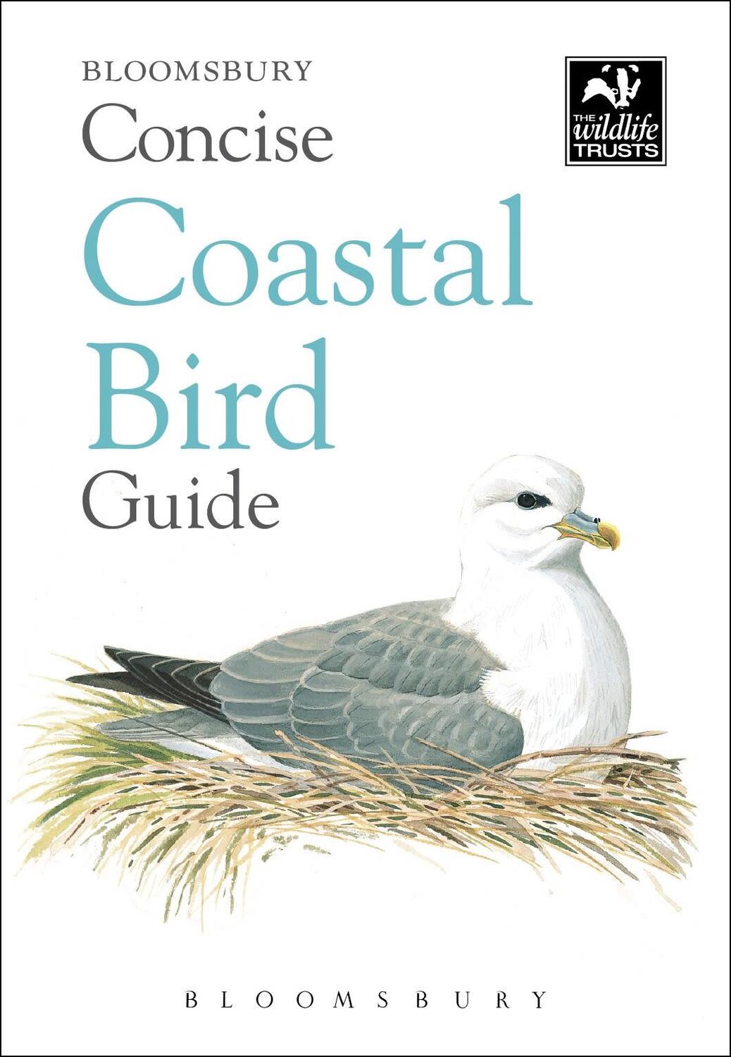 Cover: 9781472963819 | Concise Coastal Bird Guide | Taschenbuch | Concise Guides | Englisch