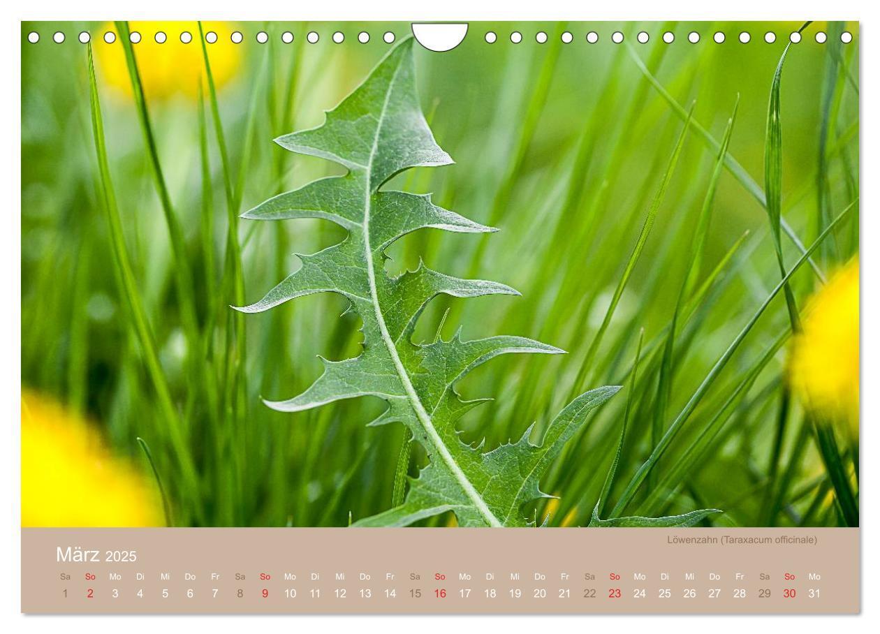 Bild: 9783435650026 | WILDE NAHRUNG (Wandkalender 2025 DIN A4 quer), CALVENDO Monatskalender