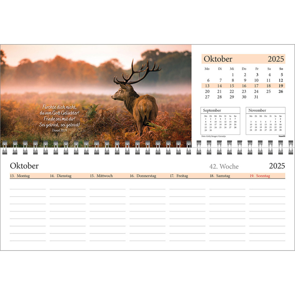 Bild: 9783754825457 | In deine Hand leg ich den Tag 2025 | Wochen-Tischkalender | Kalender