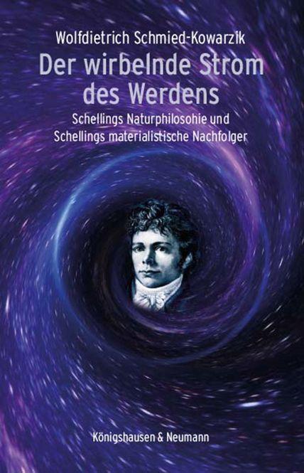 Cover: 9783826077845 | Der wirbelnde Strom des Werdens | Wolfdietrich Schmied-Kowarzik | Buch